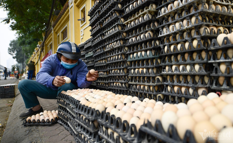 Người Việt dùng gần 19 tỷ quả trứng gia cầm trong năm qua